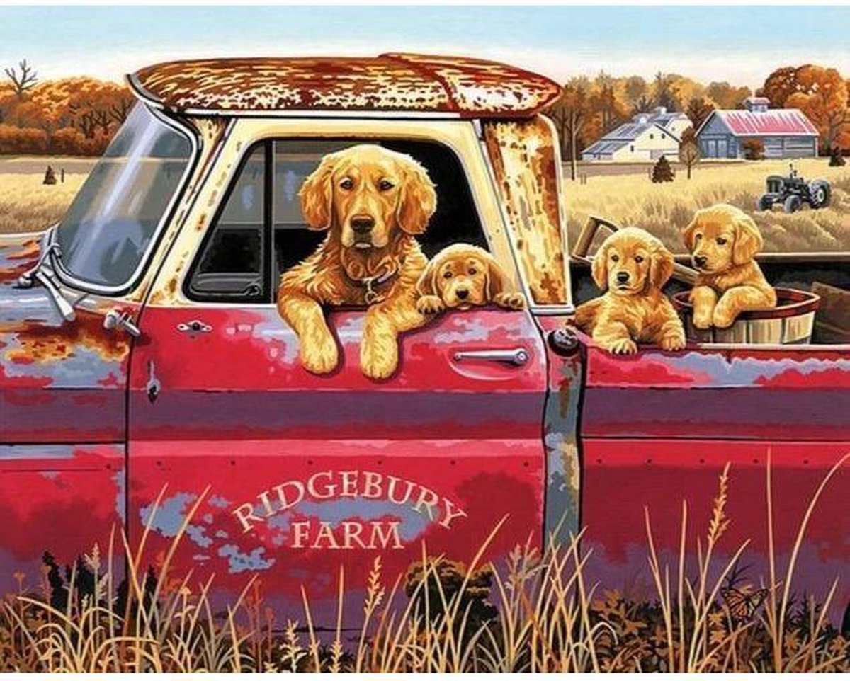 Schilderen op Nummer | Hond in Rode Auto - 40x50cm - Exclusief Lijst (24 kleurtjes)